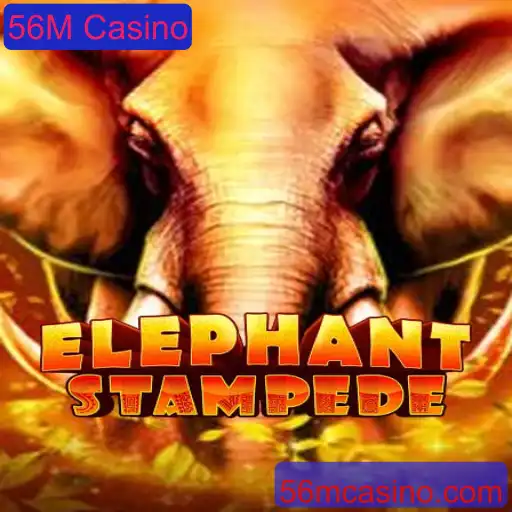 Descubra o Fascinante Mundo de ElephantStampede no 56M Casino